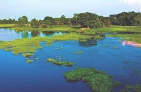 Majuli Island